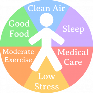 daily fitness habits for healthy life