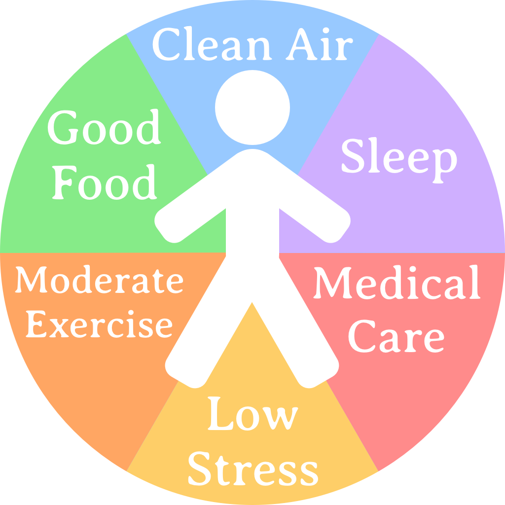 Healthy Habits Journey Sickness To Health